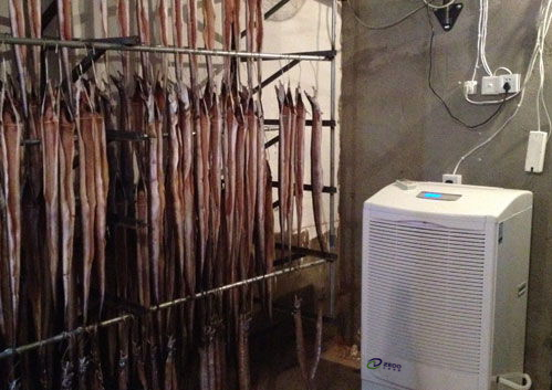 魚干烘干除濕機(jī)