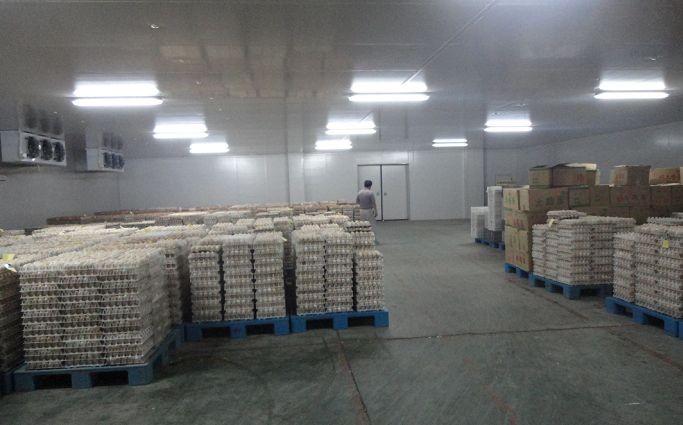 超聲波氣調庫加濕器