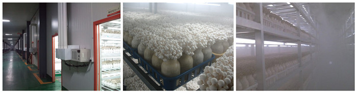 食用菌加濕機(jī)