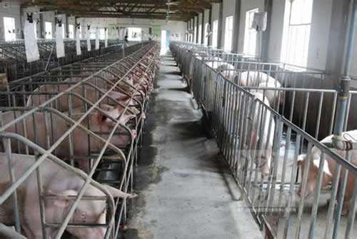 養(yǎng)殖場(chǎng)用除濕機(jī)