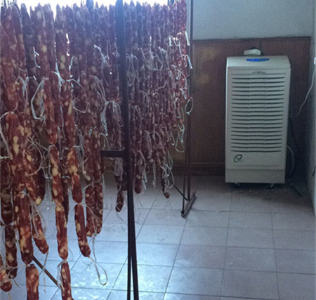 臘腸烘干除濕機(jī)