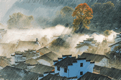 防潮除濕機(jī)