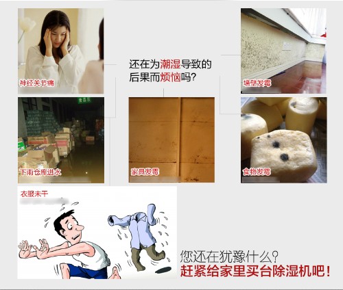 防潮除濕機(jī)