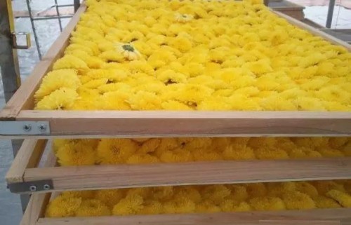 菊花烘干除濕機(jī)