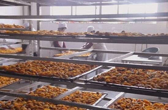 紅薯干烘干除濕機(jī)