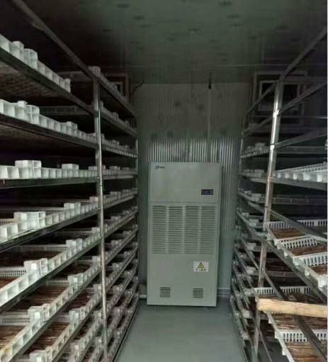 烘干除濕機(jī)