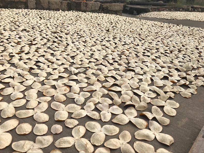 陳皮烘干除濕機(jī)