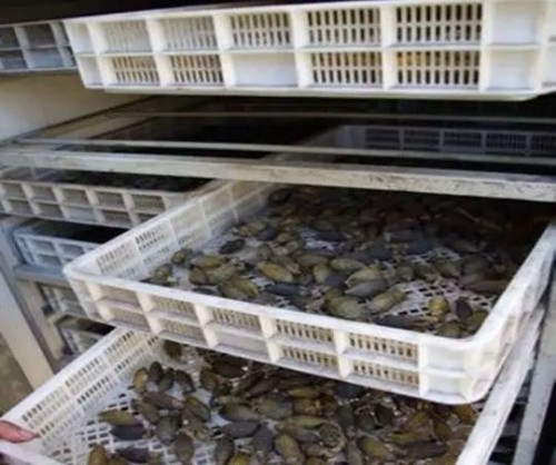 檳榔烘干除濕機