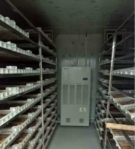 脫水蔬菜烘干機(jī)