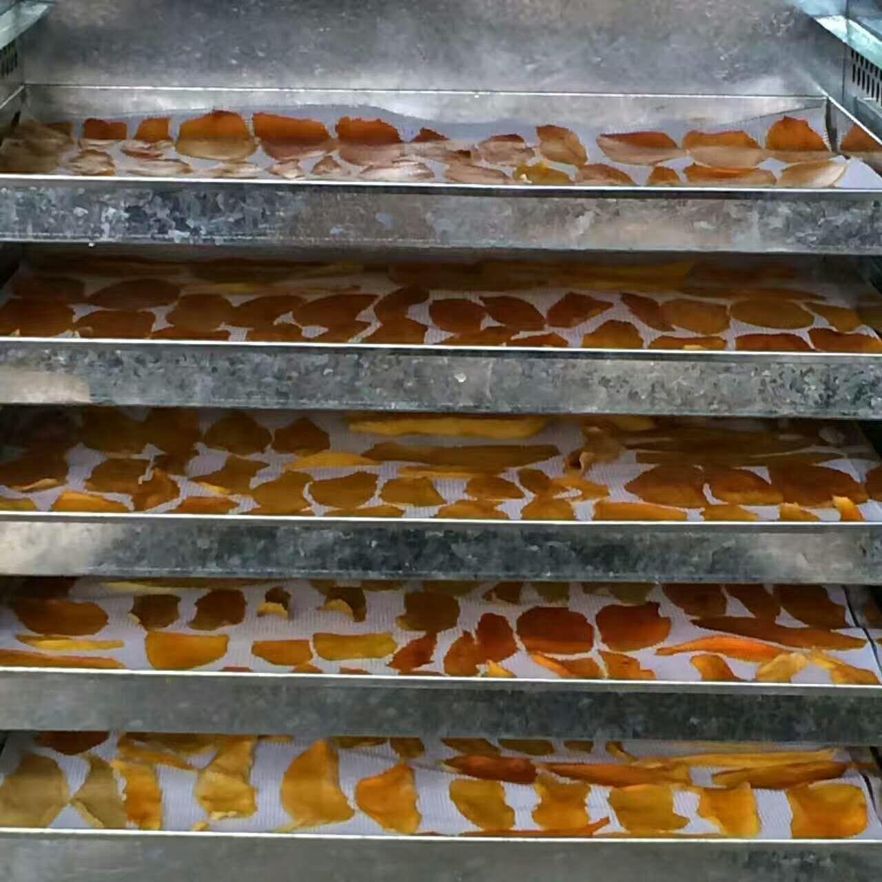 芒果烘干除濕機(jī)