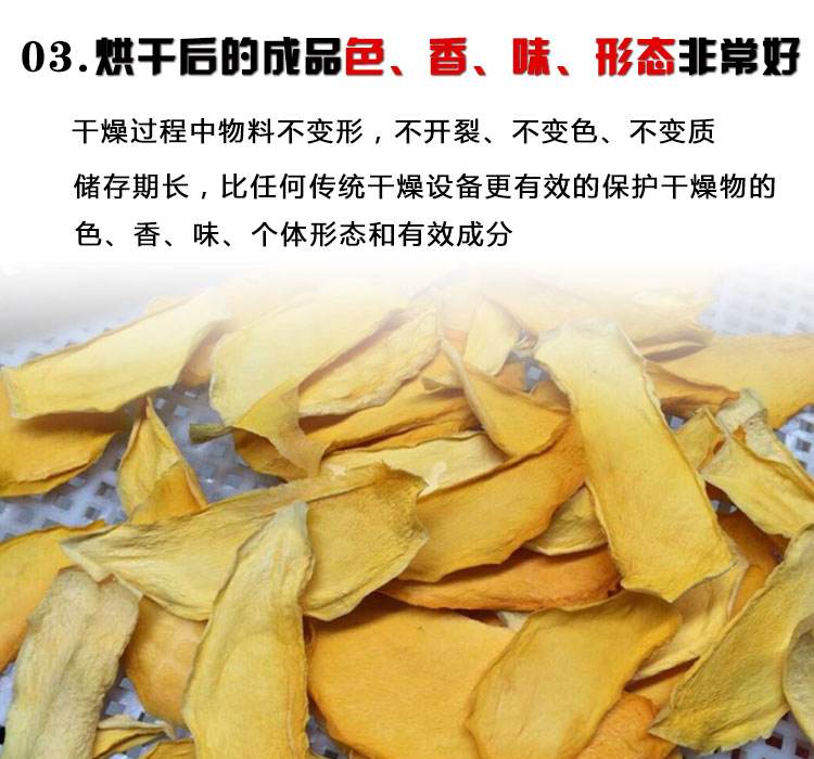芒果烘干除濕機(jī)