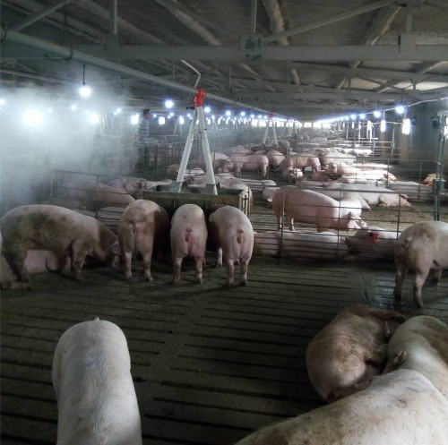 養(yǎng)殖場(chǎng)加濕器