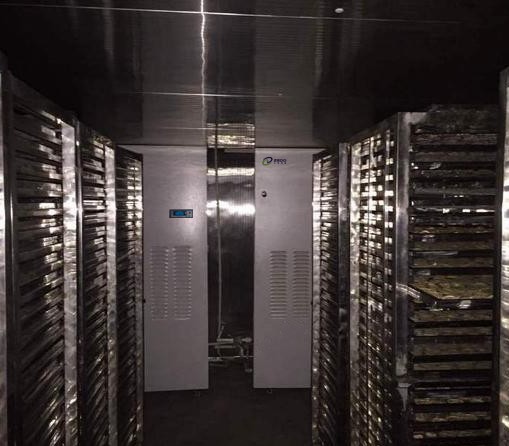 檸檬片烘干除濕機(jī)