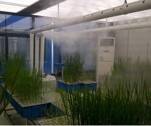 催芽室加濕機(jī)