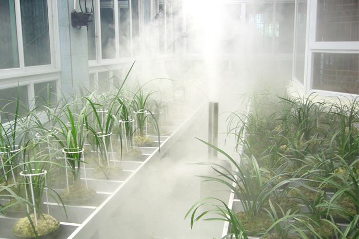 催芽室加濕機(jī)