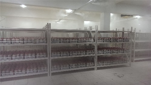 菌菇房加濕機(jī)