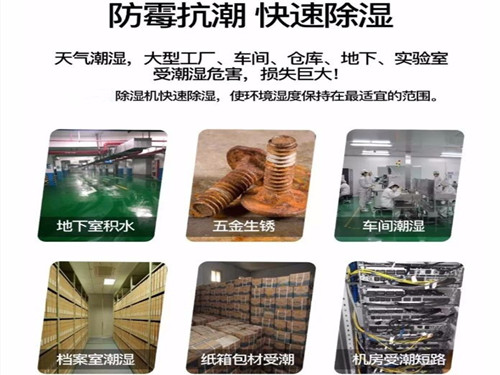 除濕機(jī)廠家