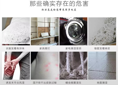 快速除濕氣用除濕機(jī)