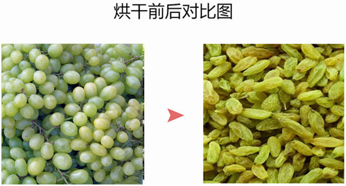 葡萄干烘干除濕機