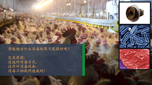 養(yǎng)殖場打藥霧化消毒機(jī)