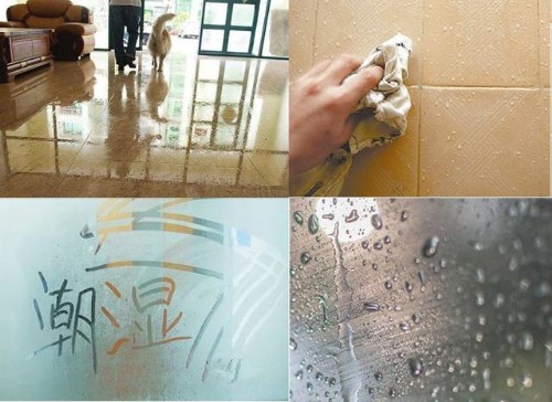 室內(nèi)防潮除濕機(jī)