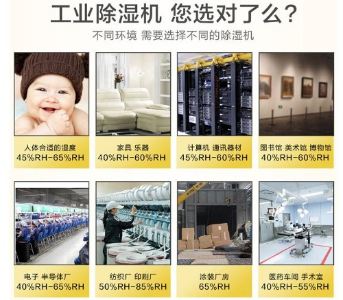 工業(yè)除濕機(jī)