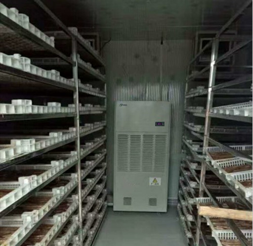 中藥材烘干除濕機(jī)