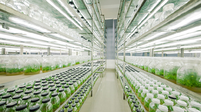 組培培養(yǎng)室除濕機(jī)