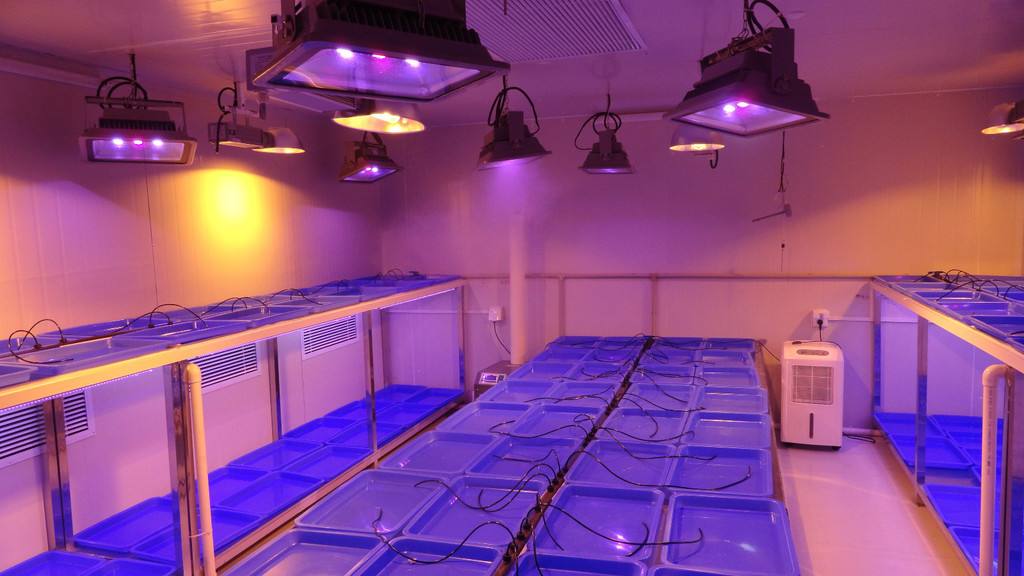 智能人工氣候室加濕器