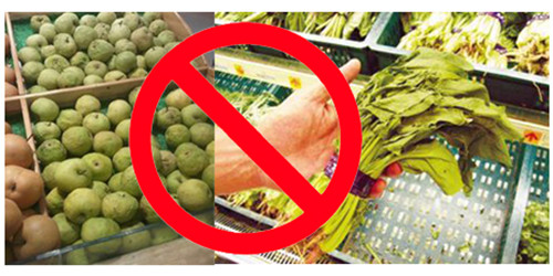 鮮貨霧化保濕機(jī)