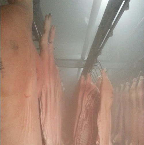 預(yù)冷庫加濕器