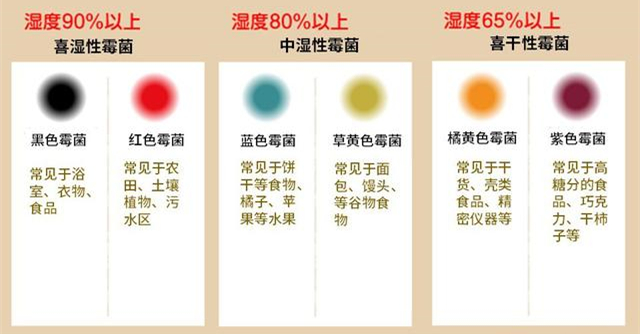 防潮除霉用除濕機(jī)