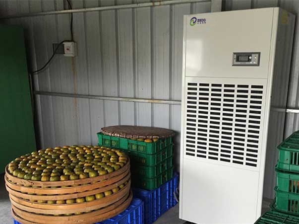 柿餅烘干除濕機(jī)