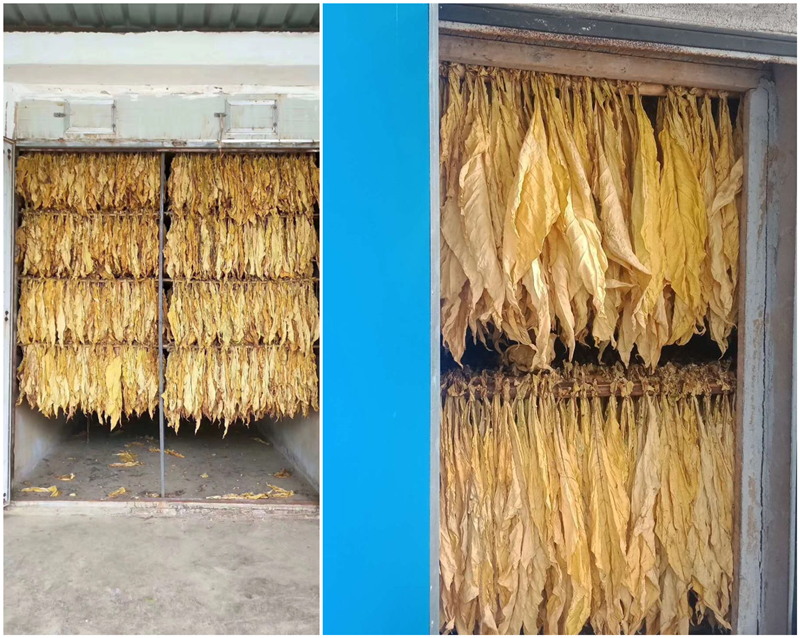 炕房專用潮煙機(jī)