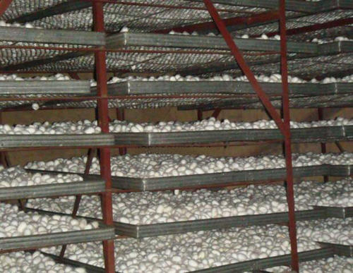 蠶繭脫水除濕機