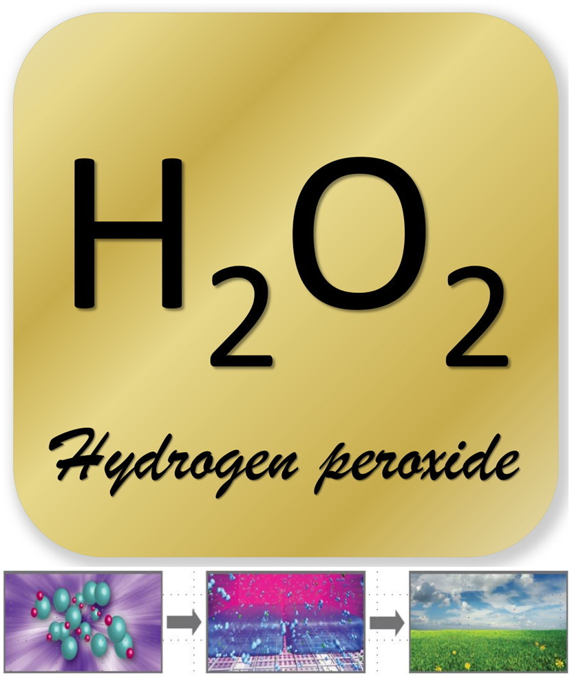 過氧化氫消毒機