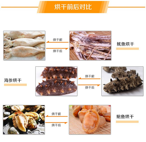 水產(chǎn)品烘干除濕機(jī)