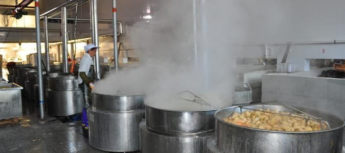 蒸汽去除機(jī)