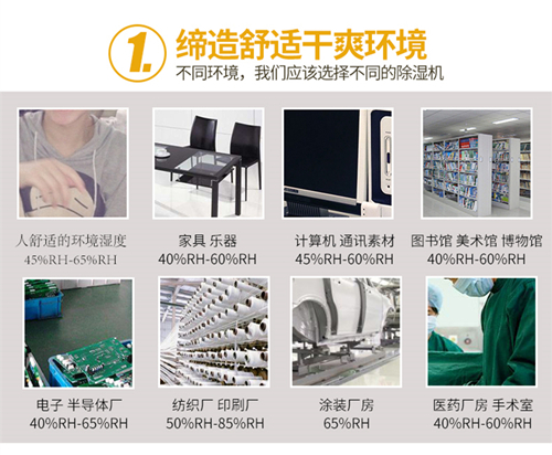 非標(biāo)定制工業(yè)除濕機(jī)