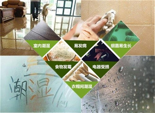潮濕的危害.jpg