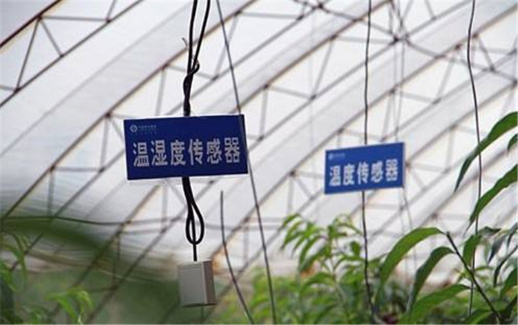 櫻桃大棚除濕機(jī)