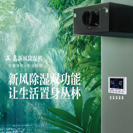 地下室新風(fēng)除濕一體機