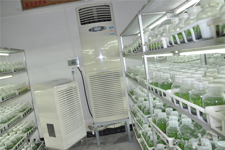 溫室大棚控濕機(jī)