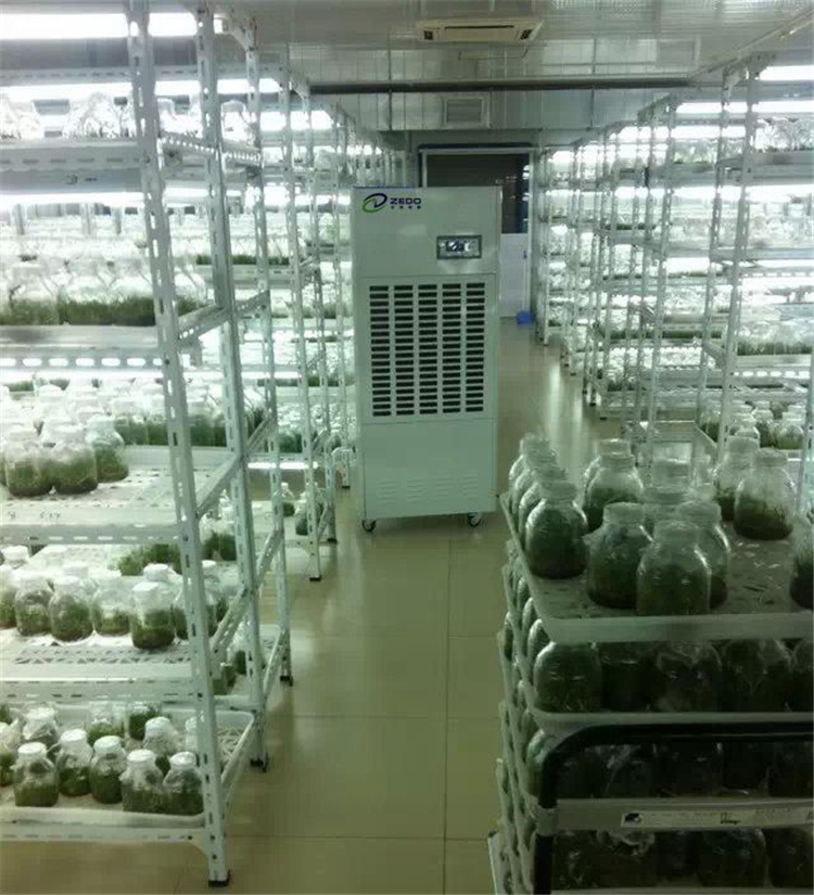 溫室大棚控濕機(jī)