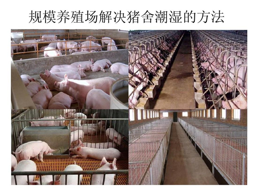 養(yǎng)殖場防潮除濕機