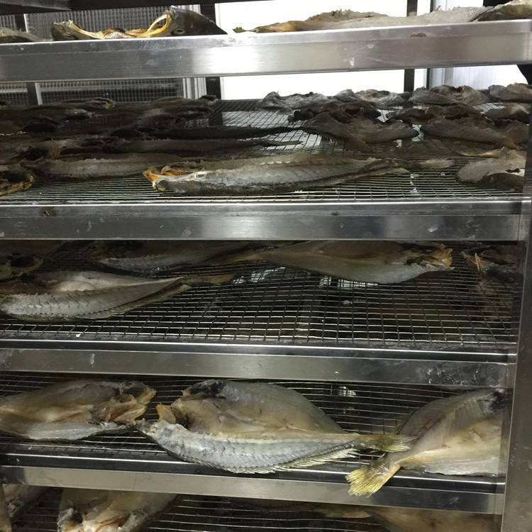 魚蝦烘干除濕機(jī).jpg
