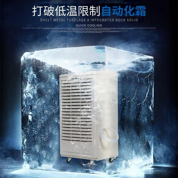 工業(yè)低溫除濕機(jī) 工業(yè)低溫除濕機(jī)