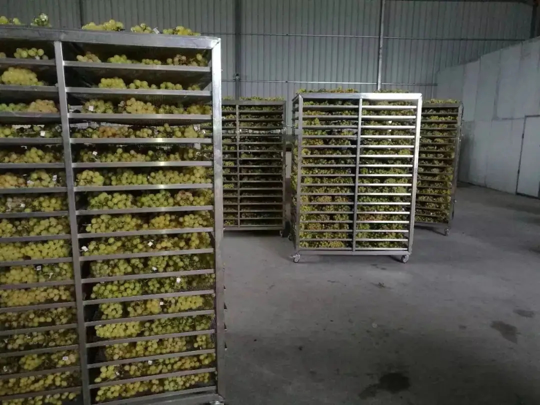 葡萄干烘干工藝