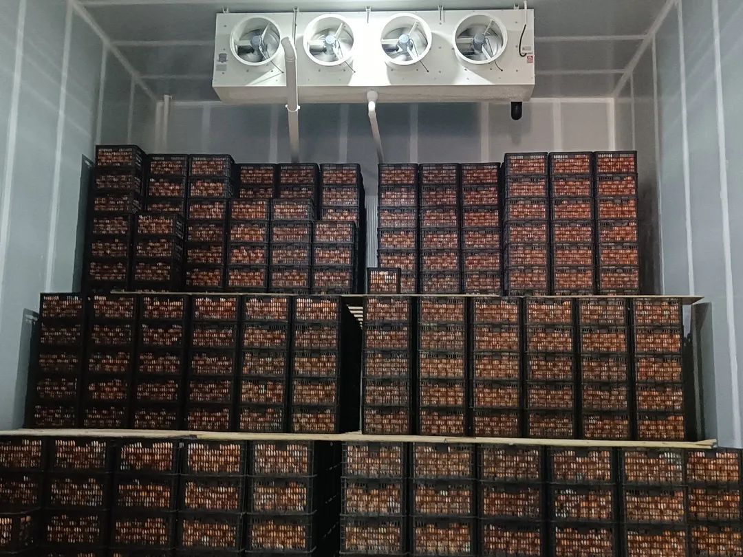 蘋(píng)果保鮮庫(kù)加濕方法