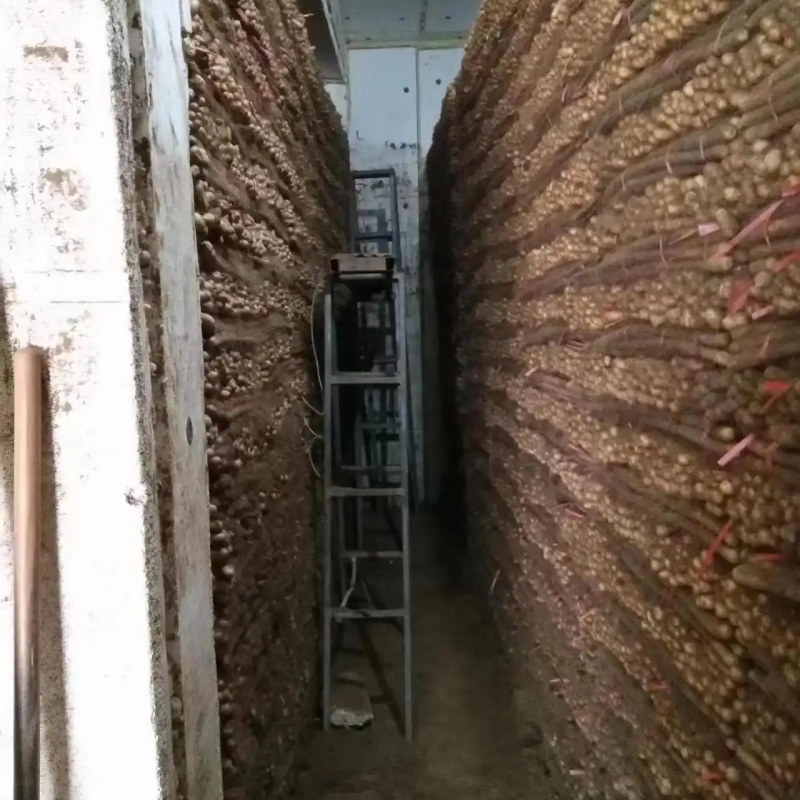 山藥保鮮庫(kù)加濕方法